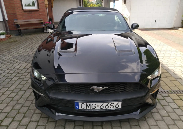 Ford Mustang cena 93000 przebieg: 100000, rok produkcji 2018 z Mogilno małe 326